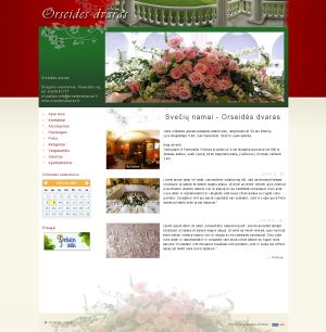 interneto svetainiu kurimas Panevezys